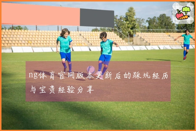 ng体育官网版本更新后的踩坑经历与宝贵经验分享